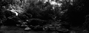 rsz_1rsz_panorama_sin_título3