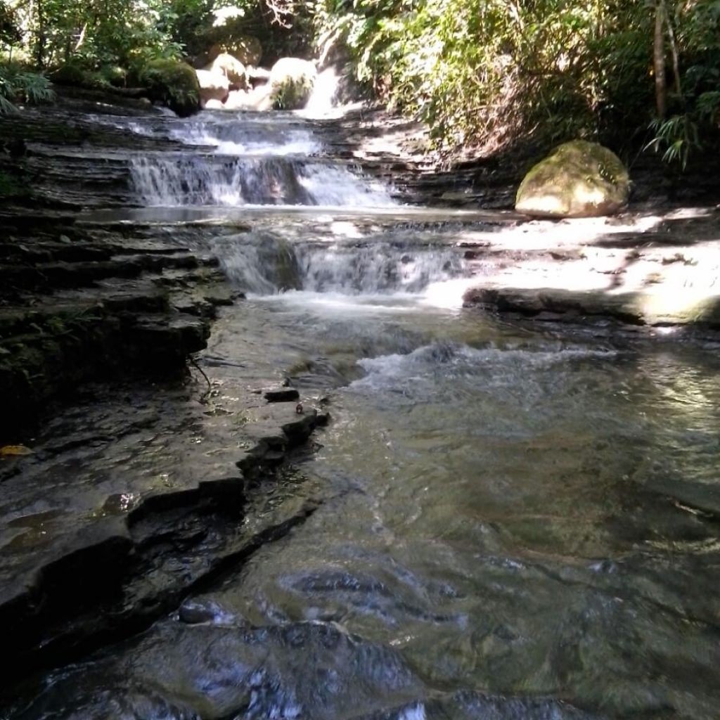 Arroyo