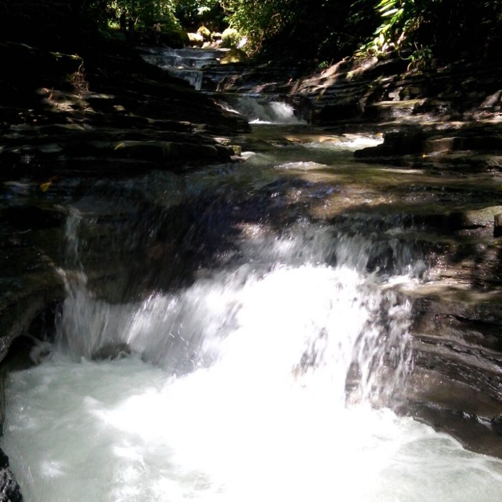 Arroyo