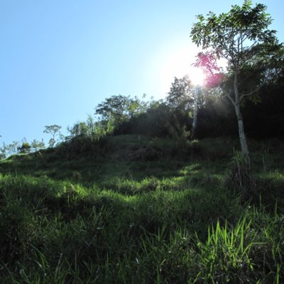 Camino a las cascadas