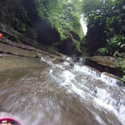 Agua y selva