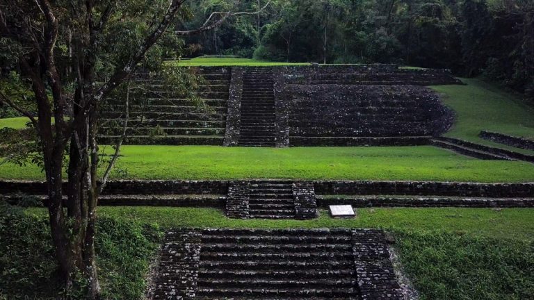 Historia de AGUA SELVA